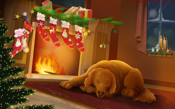 belle-image-de-noel-flora