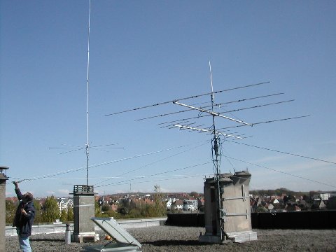 Image: 003-303eeb.jpg