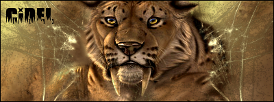 http://img21.xooimage.com/files/1/a/b/zerowxxxxxxxcidel-bf76fc.png