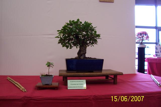 Image: 100_6859-420643.jpg