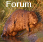 Forum Verrouillé
