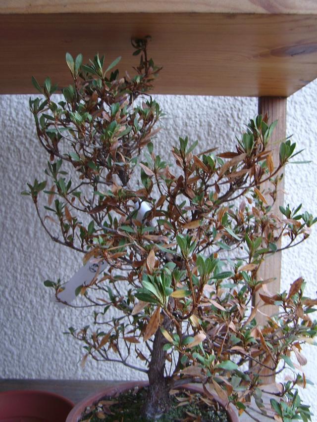 Image: sa550297-49db17.jpg