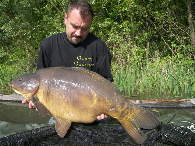 Image: 102_2354-343d5a.jpg