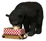 gif-ours-fanfan
