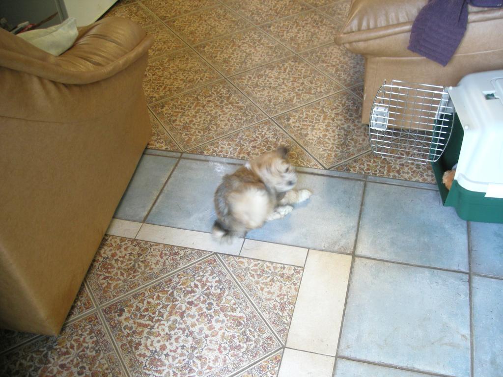 Image: jethro-011-465473.jpg
