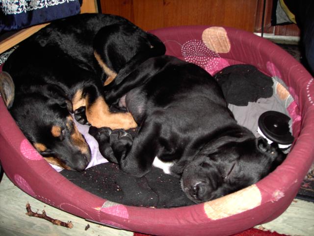 Image: pict1670-326229.jpg