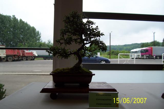 Image: 100_6900-4209ff.jpg