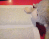 popo5-2f3fe9.gif
