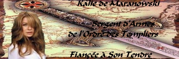 Image: bann-sergent-d-armes-126fc77.jpg
