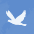 New posts [ Popular ]