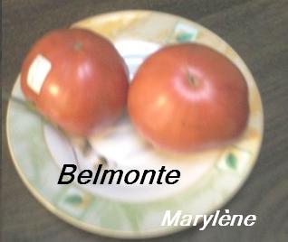 belmonte-1217e66.jpg