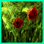 http://img21.xooimage.com/files/a/6/5/villanelle-bd1d46.gif