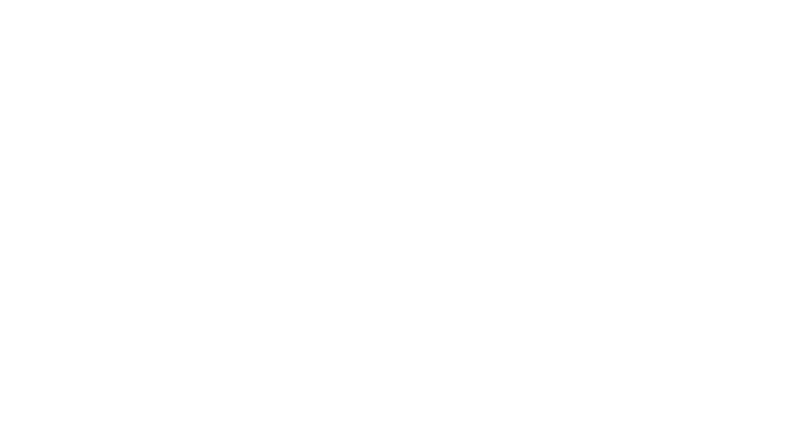 Autoroute racer