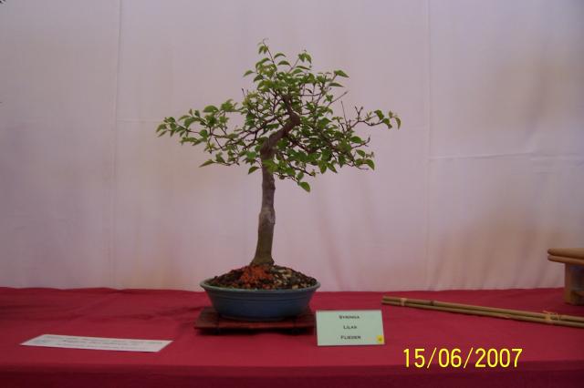 Image: 100_6875-4207c7.jpg