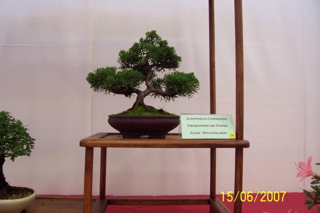 Image: 100_6869-420741.jpg