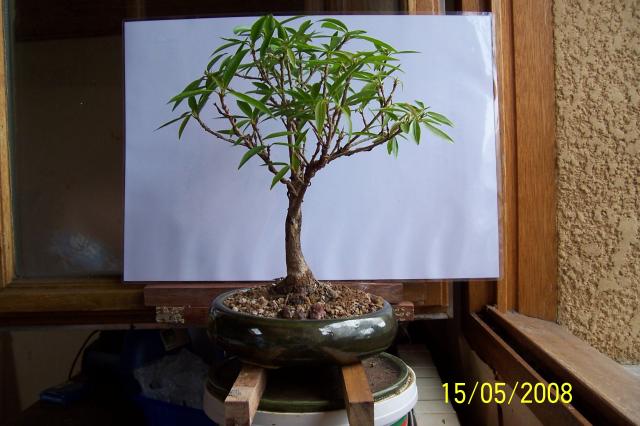 Image: 100_6745-355321.jpg