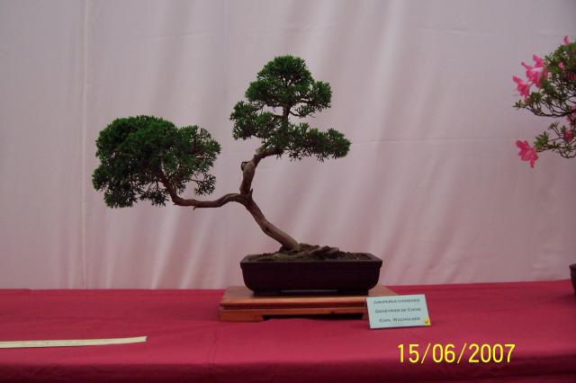 Image: 100_6839-42044c.jpg