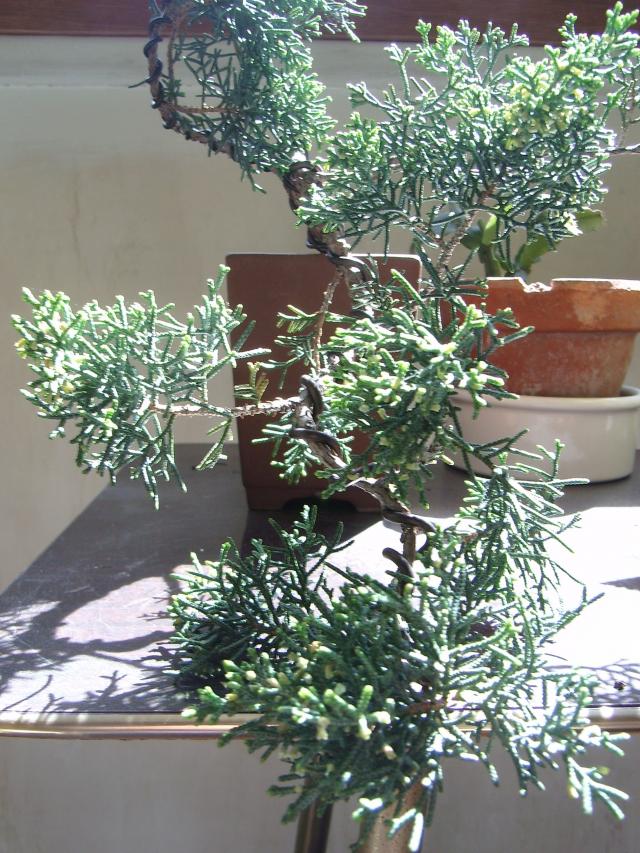 Image: sa550290-340e72.jpg