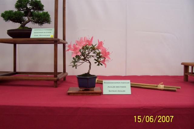 Image: 100_6871-420778.jpg