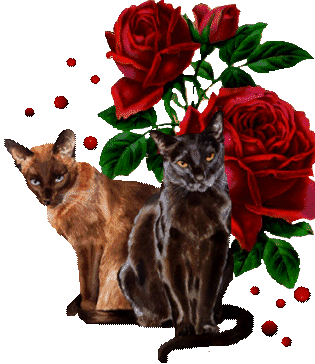 http://img21.xooimage.com/files/f/9/b/641576647-41ff6e.gif